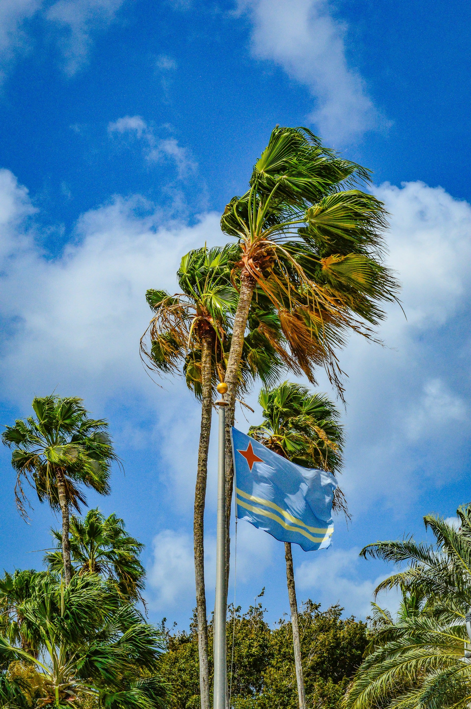 Aruba