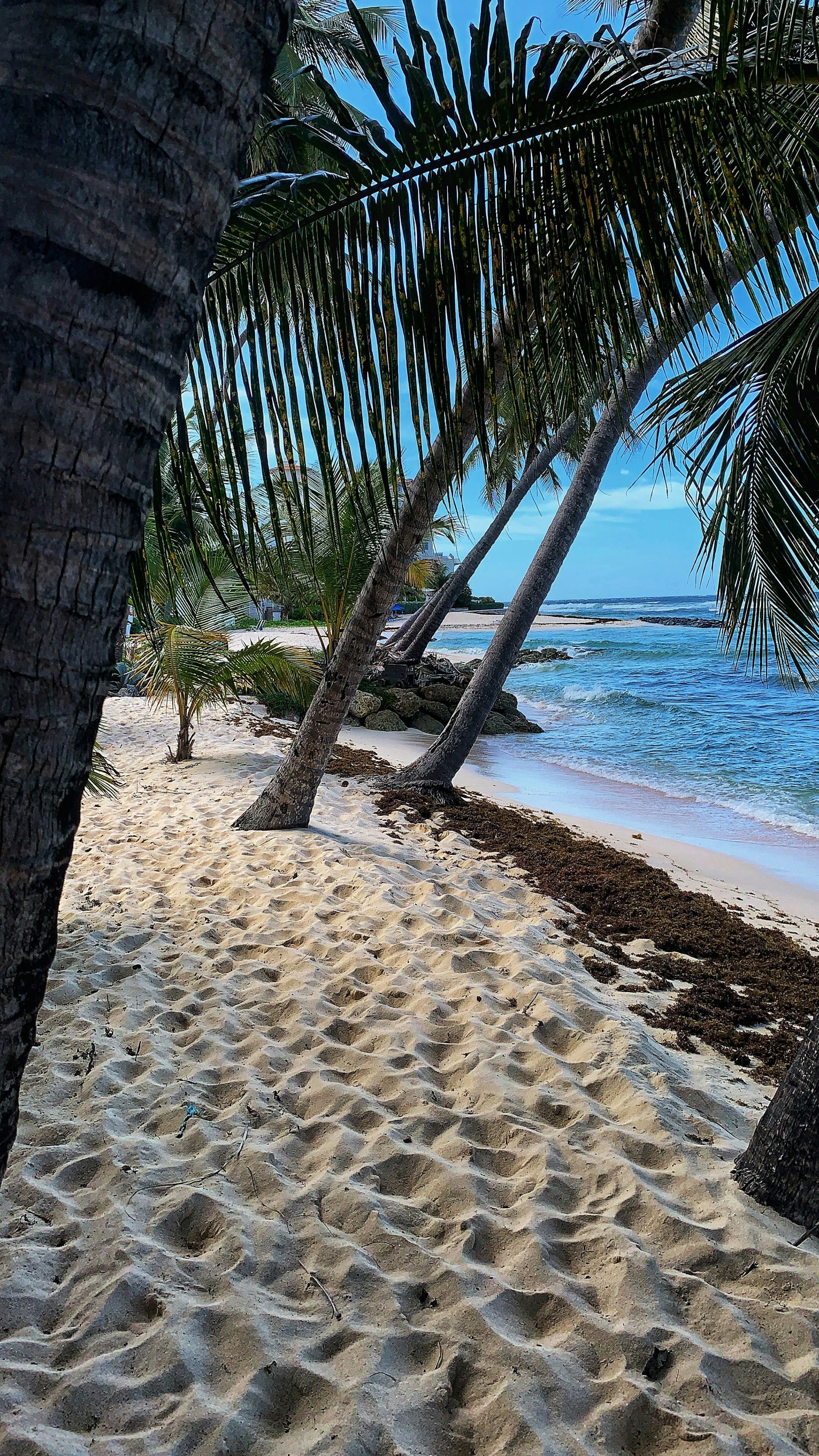 Barbados
