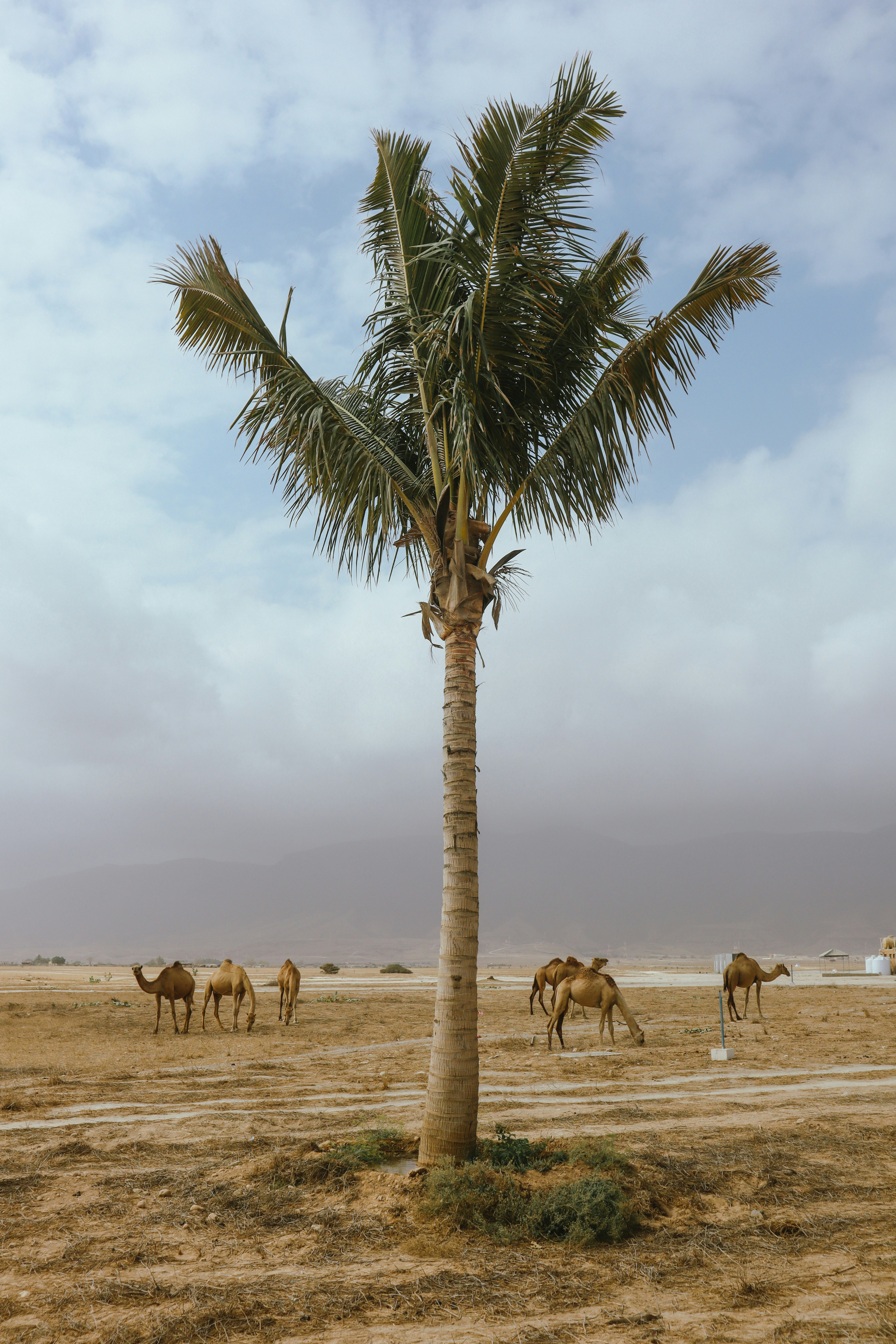 Burkina Faso