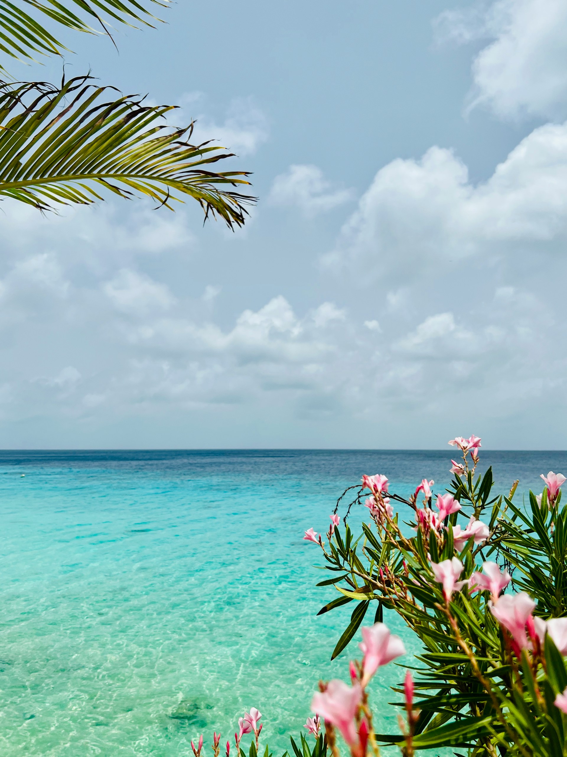 Caribbean Netherlands