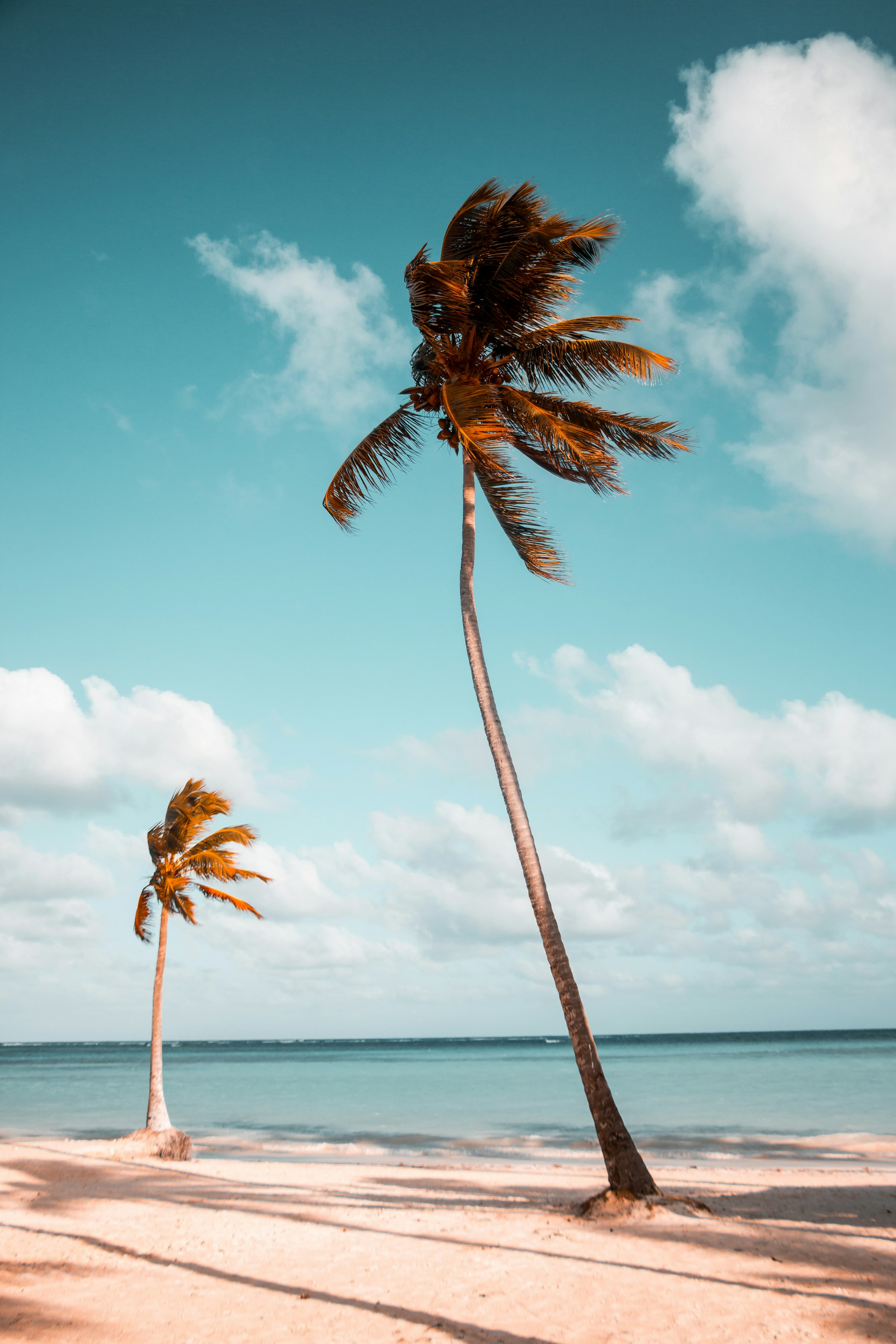 Dominica