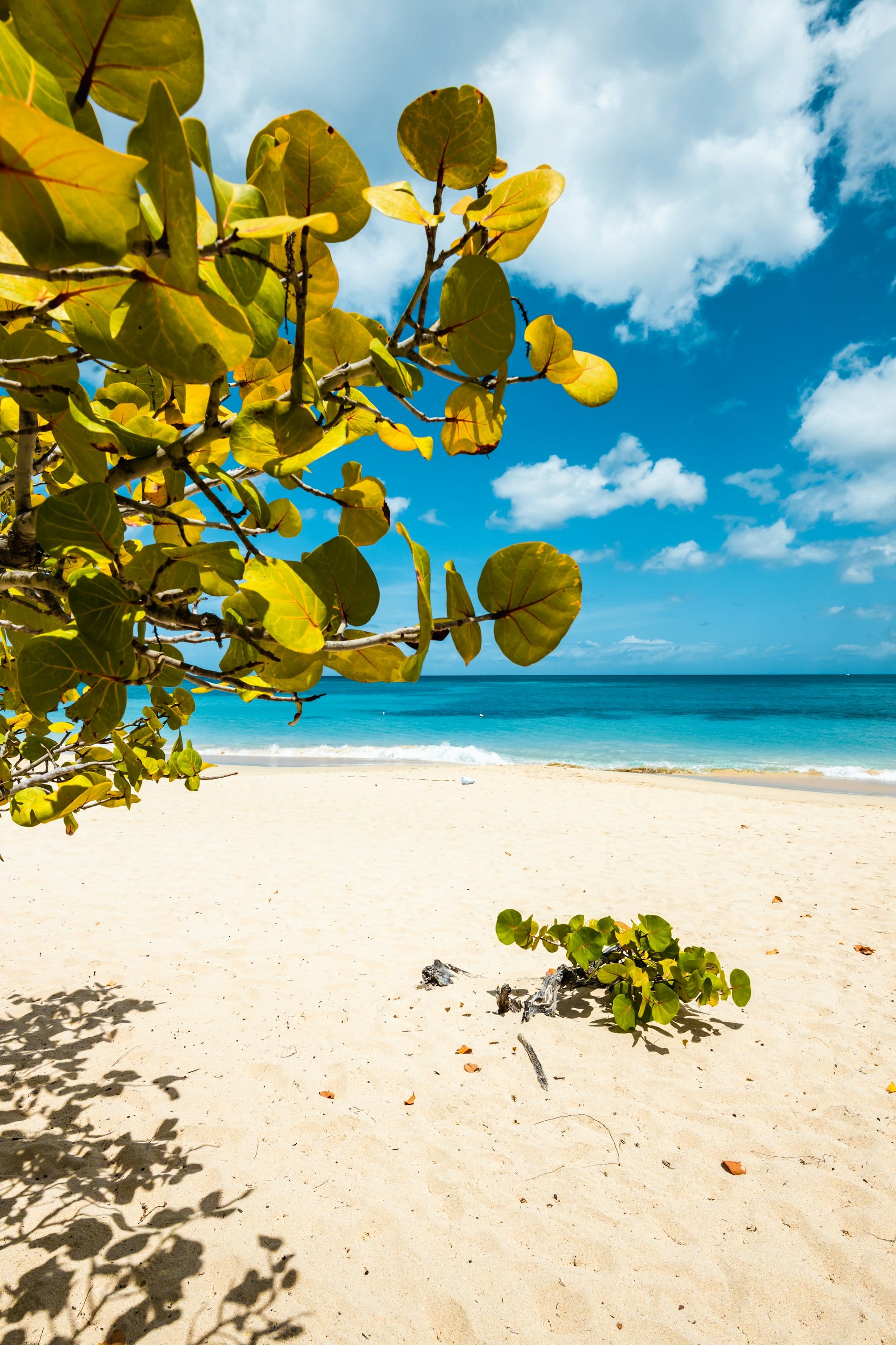 Grenada
