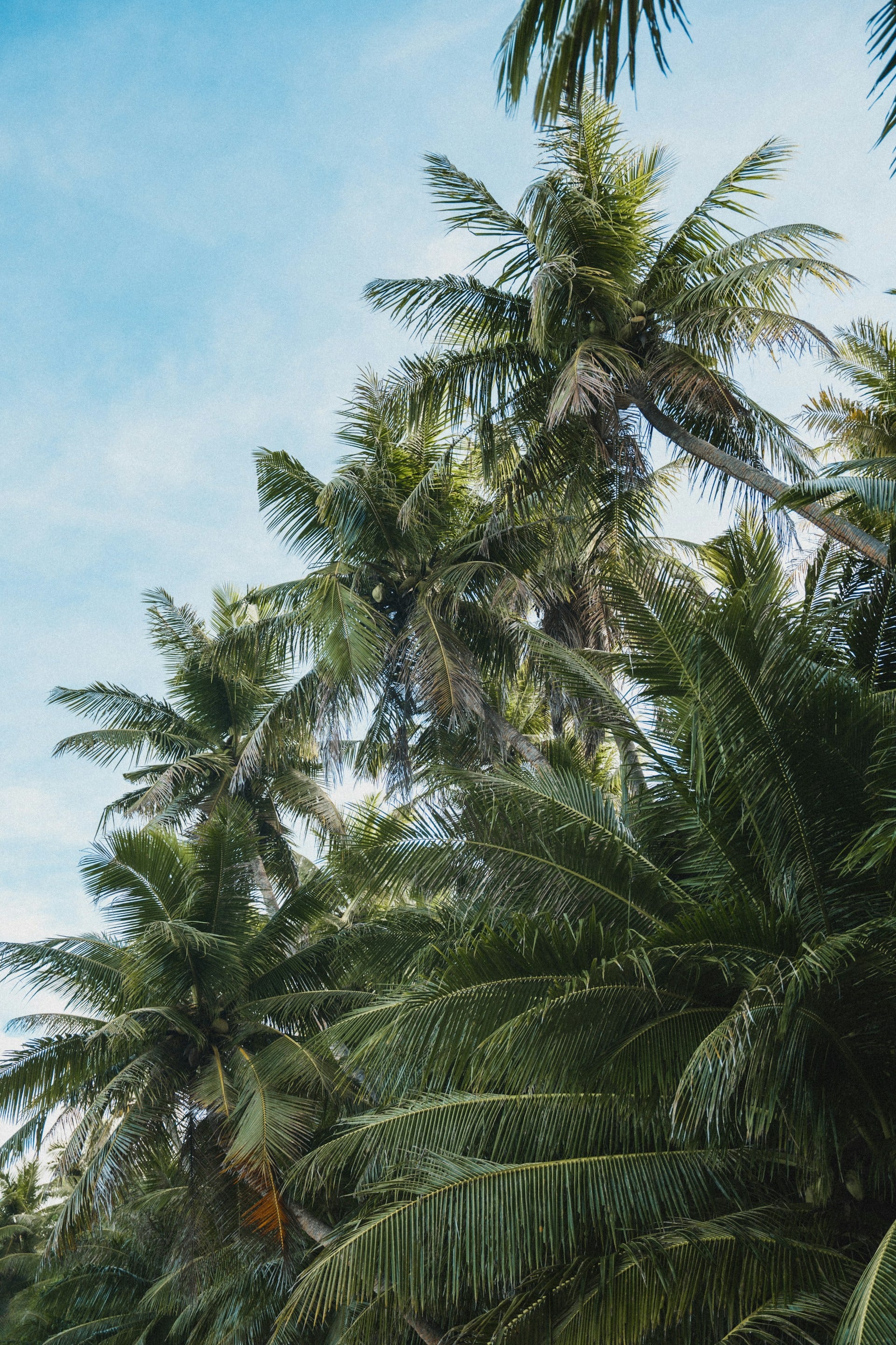 Guam