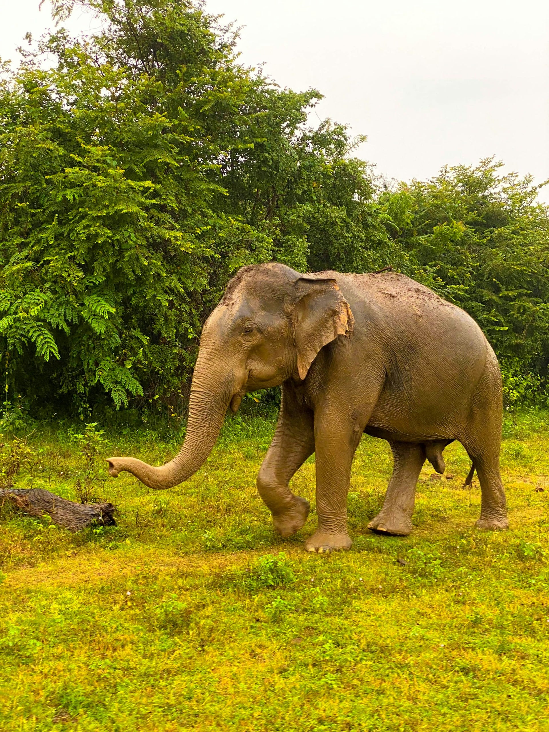 Sri Lanka