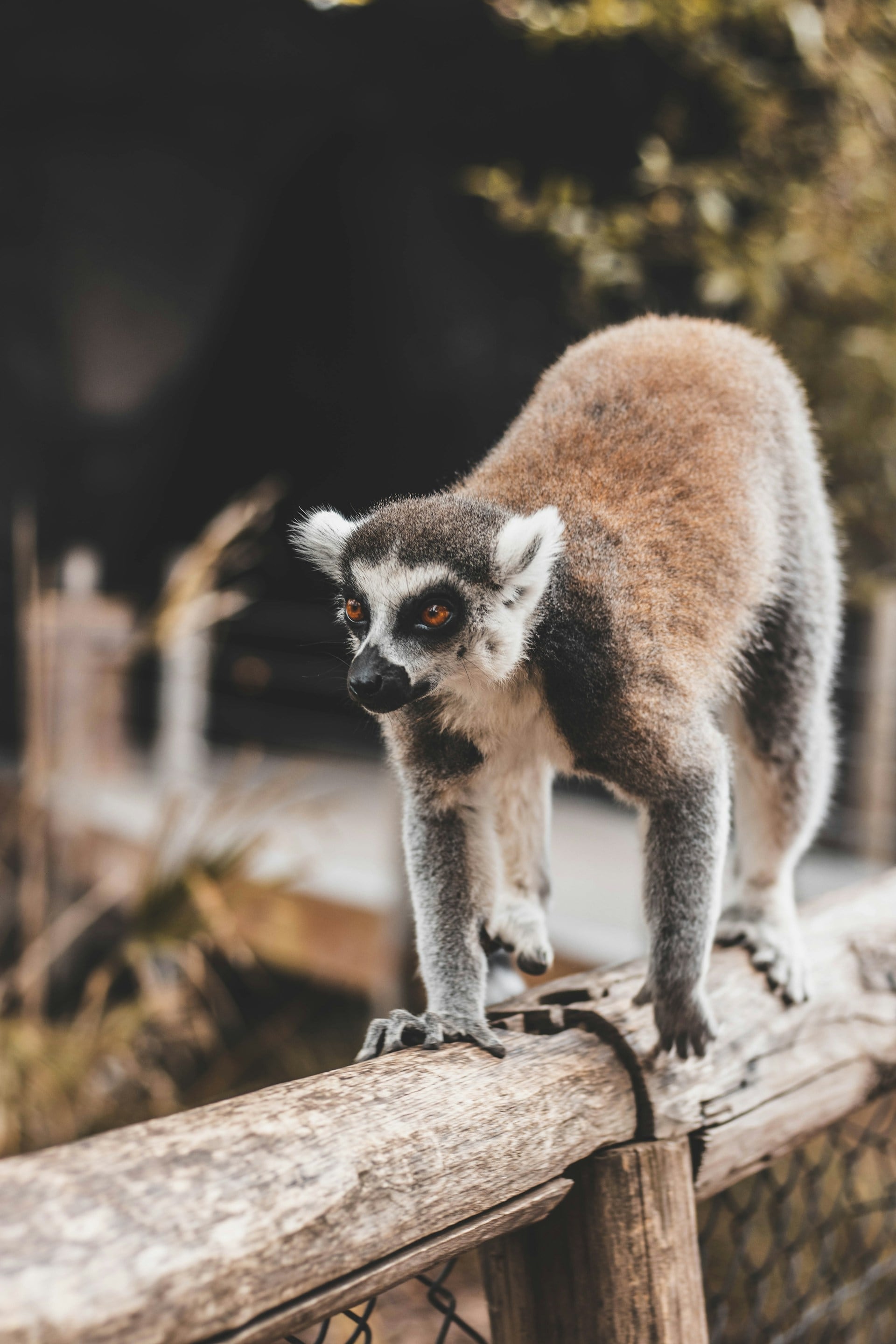 Madagascar