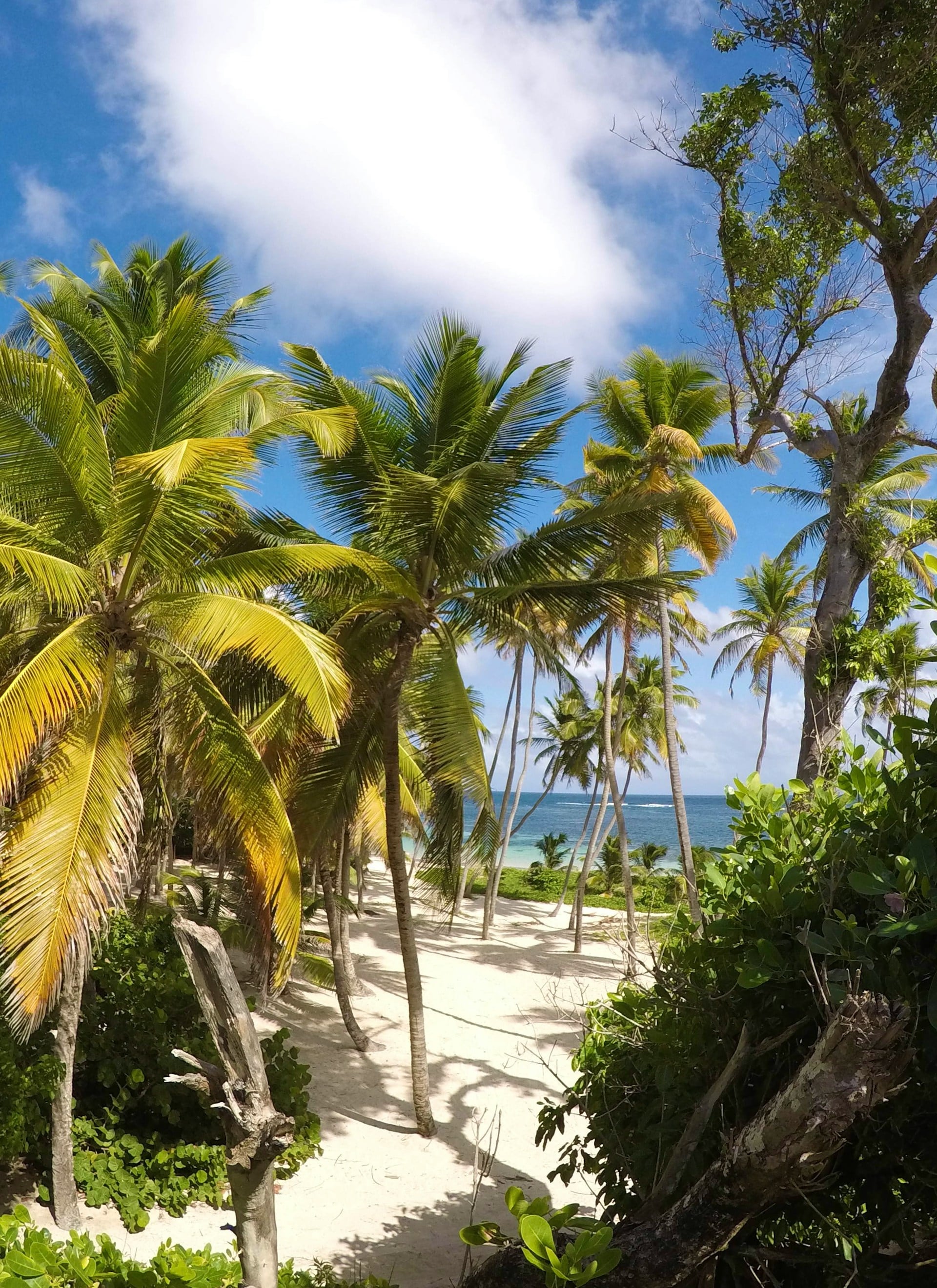 Martinique
