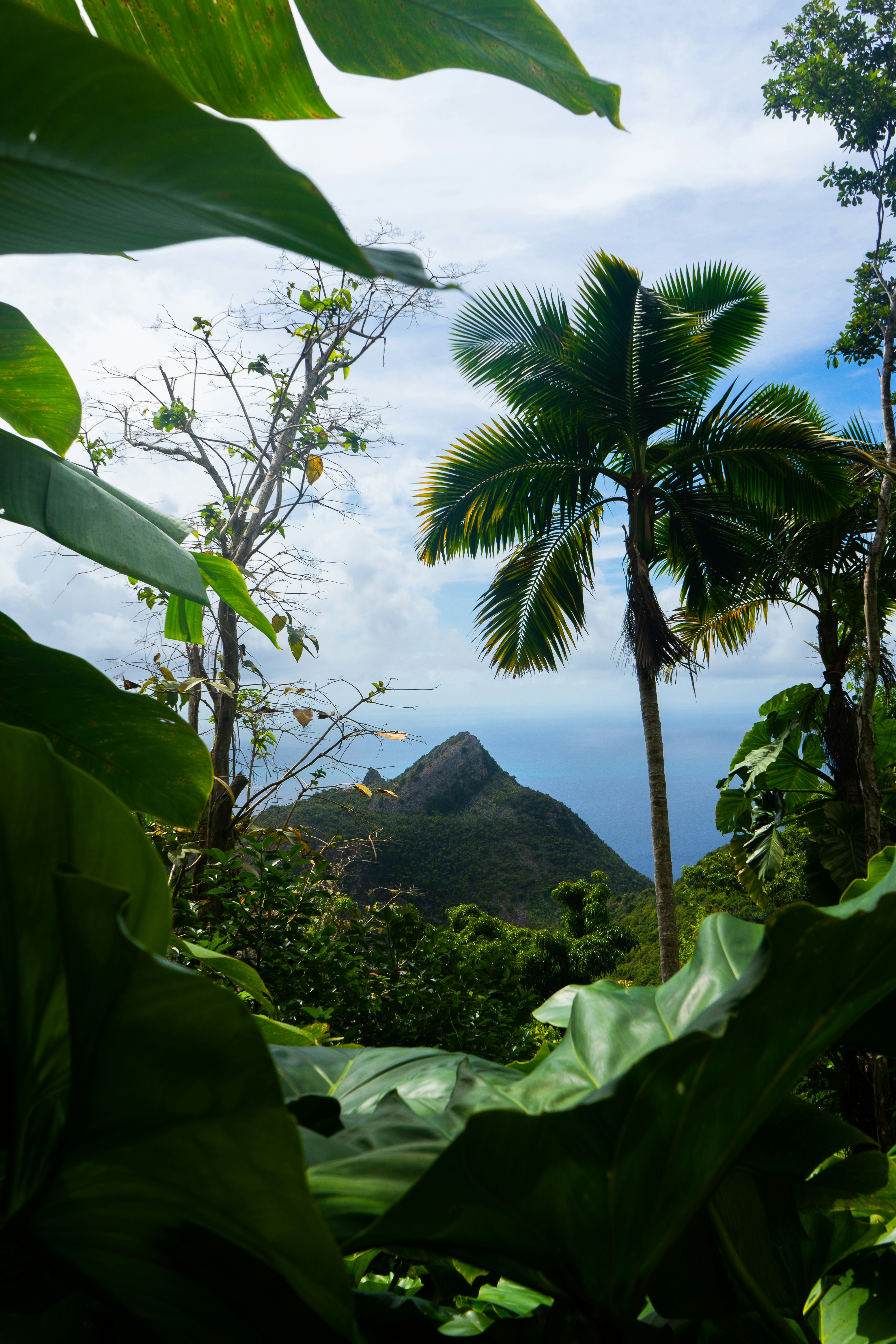 Montserrat