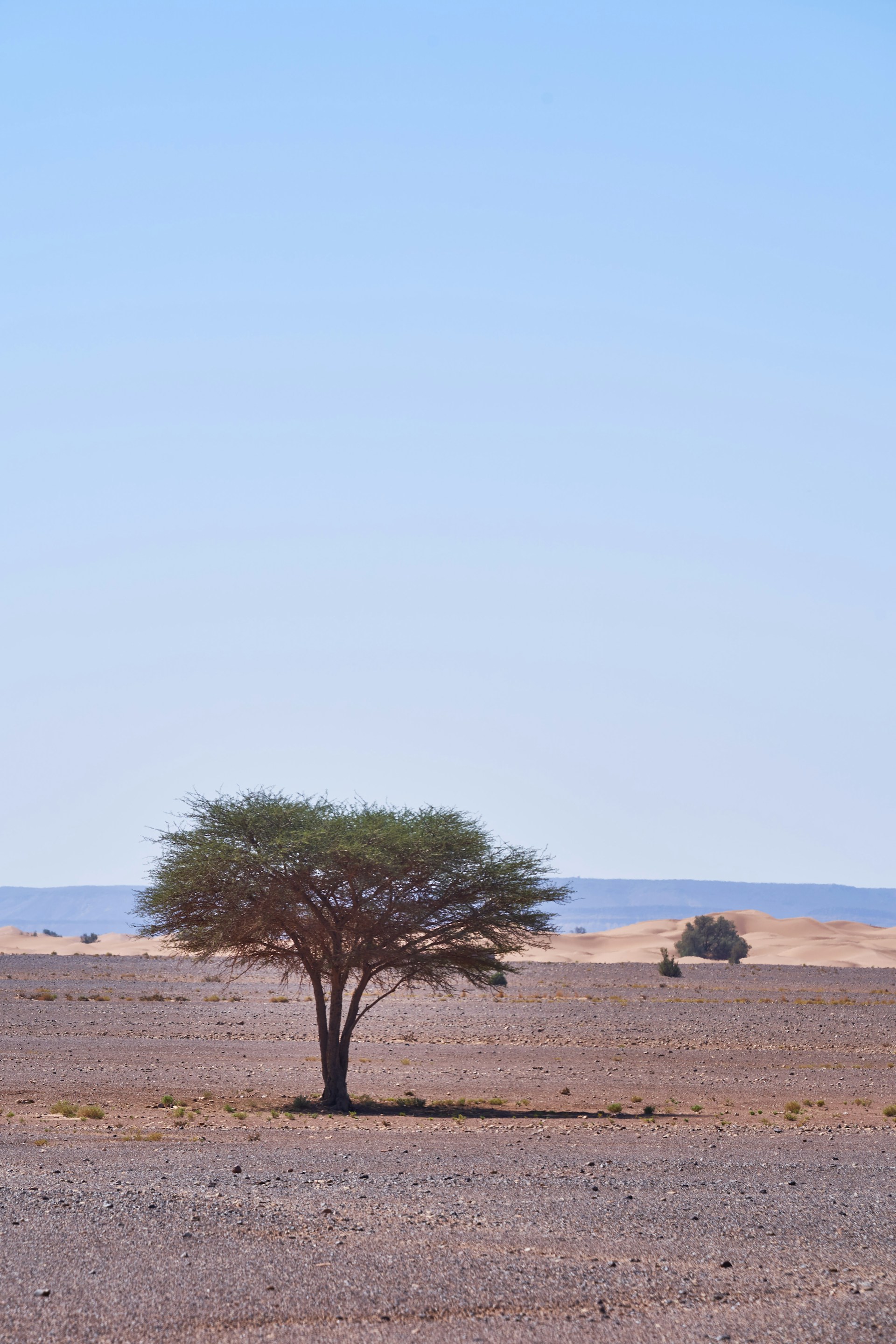 Niger