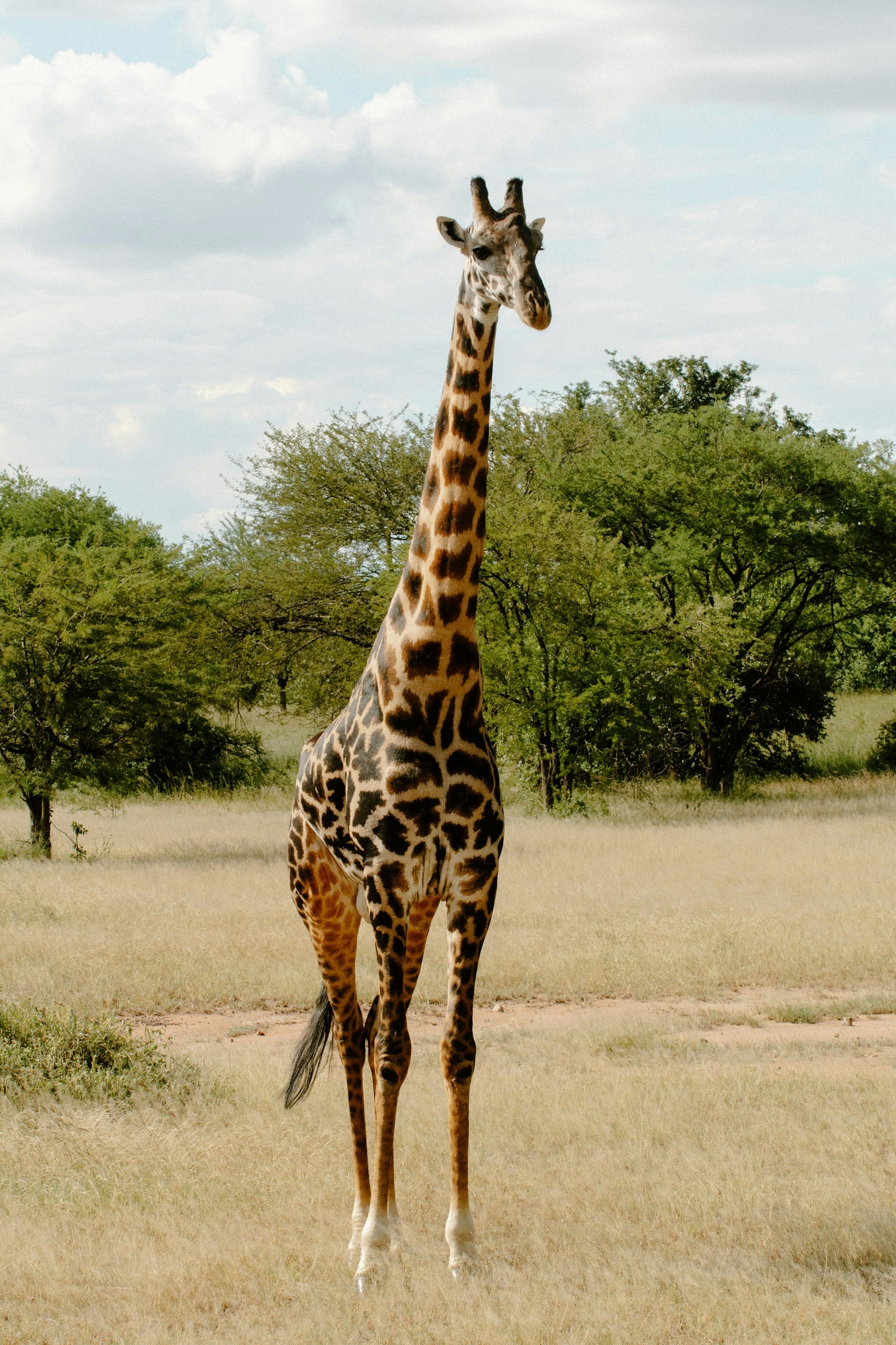 Tanzania