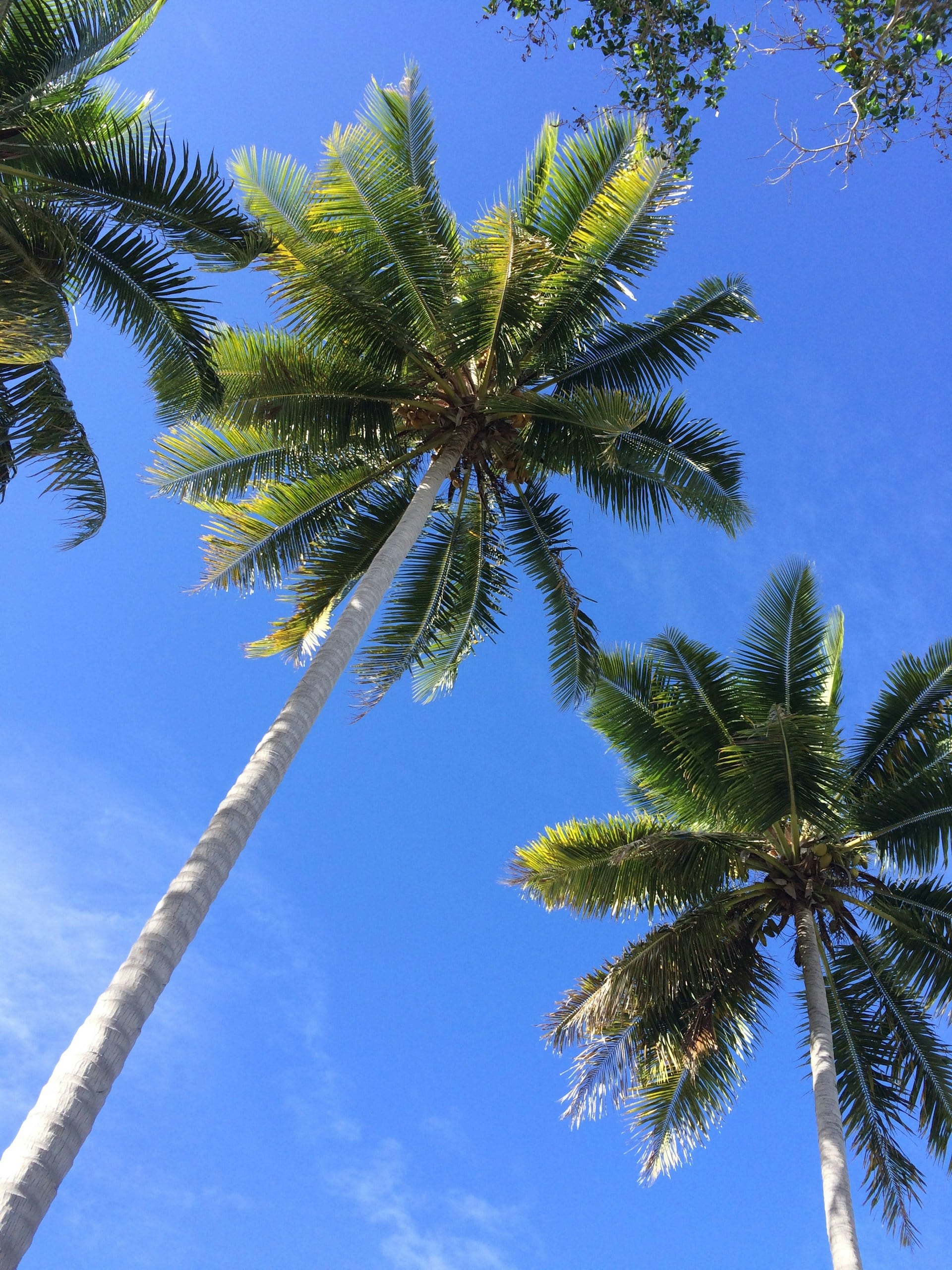 Vanuatu