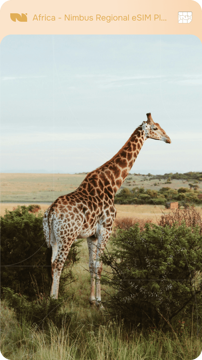 Africa